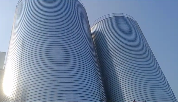 灌云2座混凝土高架卷板仓